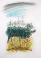 Pastelle aus Darney in Frankreich