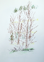 Pastelle aus Darney in Frankreich