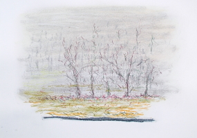 Pastelle aus Darney in Frankreich