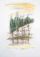 Pastelle aus Darney in Frankreich