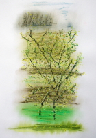 Pastelle aus Darney in Frankreich