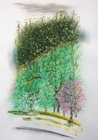 Pastelle aus Darney in Frankreich