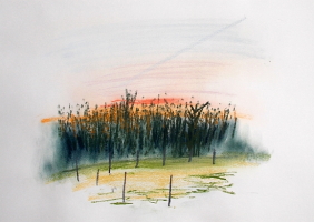 Pastelle aus Darney in Frankreich