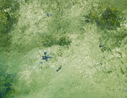 Darney das intime Fortmat 